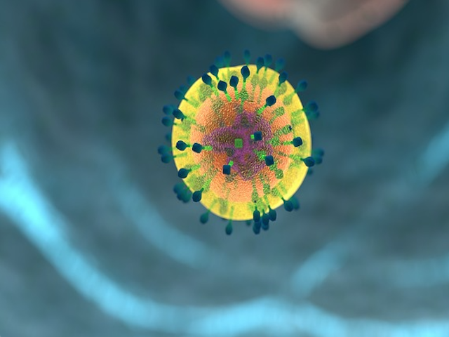 Organ Nakli Sonrası İmmün Reddini Erken Evrede Tespit Eden Nanoparçacık